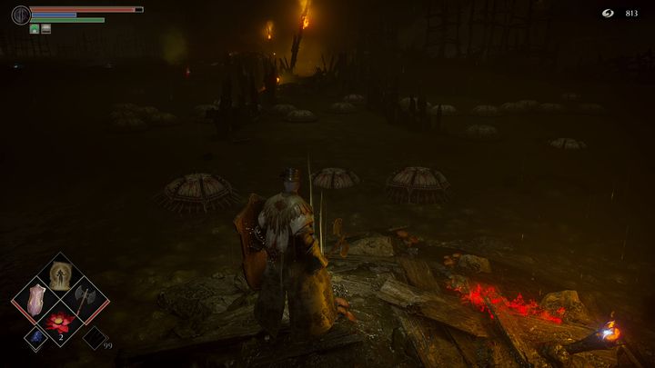 In the swamp there are many new enemies, which can be seen in the photo - Demons Souls Remake: Swamp of Sorrow (5-2) - walkthrough - Valley of Defilement (Region 5) - Demons Souls Remake Guide