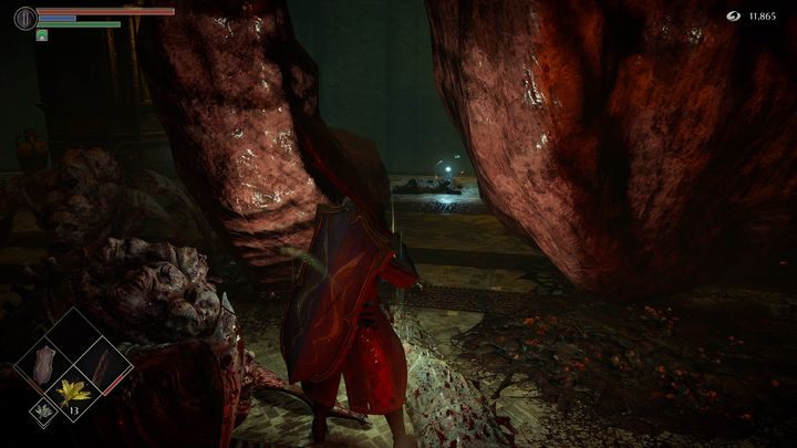 A part of the hanging creature is here as well - Demons Souls Remake: Upper Latria (3-2) - walkthrough - Tower of Latria (Region 3) - Demons Souls Remake Guide