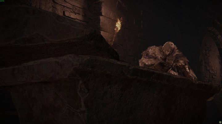 Walk through a short section of sewers until you reach a coffin standing over a cliff - Shadow of the Erdtree: How to get to the lower Scadu Altus? - Secret locations - Elden Ring Guide