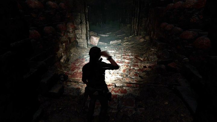 Going further you will find a fragment of cave with traps that you have to disarm - Peruvian Jungle Crypts in Shadow of the Tomb Raider Game - Crypts - Shadow of the Tomb Raider Game Guide