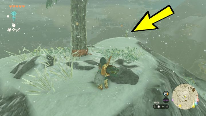 After going outside, you must climb the nearby hill where a lonely pine tree stands - Zelda TotK: Tulin of Rito Village - Walkthrough - Zelda Tears of the Kingdom Guide